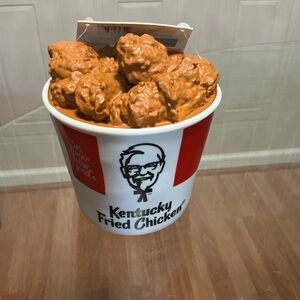 Brand New Dog Bathtub TOYS Bucket KFC Fried Chicken  New Soft Rubber Plastic
